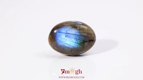 Labradorite - 25.1 Carat