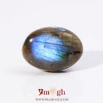 Labradorite - 25.1 Carat