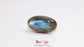 Labradorite - 20.5 Carat