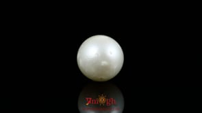 Pearl - 10.2 Carat