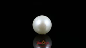 Pearl - 9.1 Carat