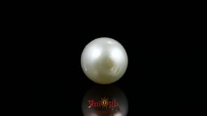 Pearl - 9.55 Carat