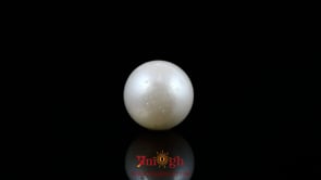 Pearl - 8.6 Carat