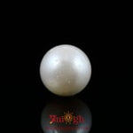Pearl - 8.6 Carat