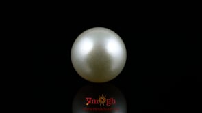 Pearl - 16.75 Carat