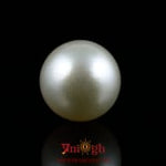 Pearl - 16.75 Carat