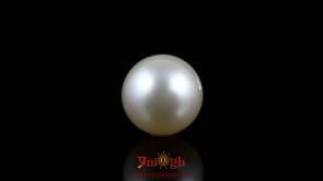 Pearl - 11.75 Carat