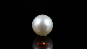 Pearl - 11.55 Carat