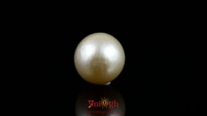 Pearl - 12.6 Carat