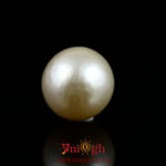 Pearl - 12.6 Carat