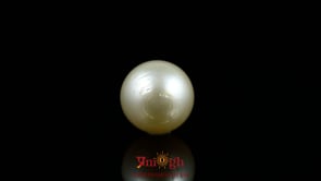 Pearl - 9.15 Carat