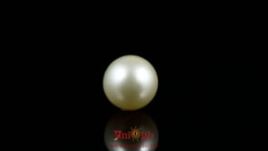 Pearl - 7 Carat
