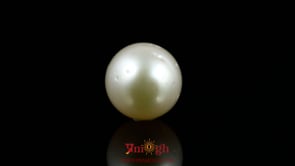Pearl - 15.9 Carat