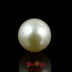 Pearl - 15.9 Carat