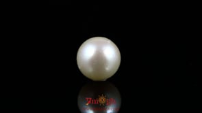 Pearl - 8.45 Carat