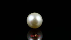 Pearl - 9.1 Carat