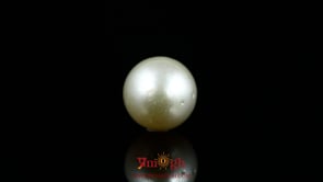 Pearl - 9.6 Carat