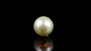 Pearl - 8.9 Carat
