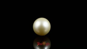 Pearl - 7.1 Carat
