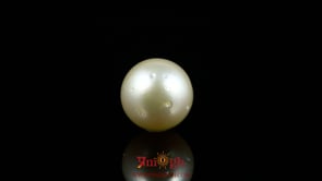 Pearl - 9.5 Carat