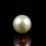 Pearl - 9.5 Carat