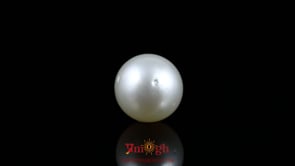 Pearl - 10.95 Carat