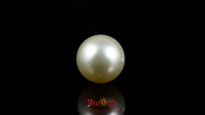 Pearl - 10.6 Carat