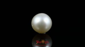 Pearl - 11.45 Carat