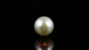 Pearl - 8.4 Carat