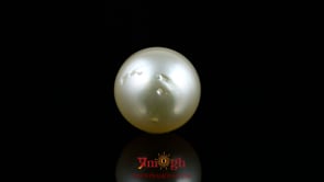 Pearl - 14.3 Carat