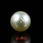 Pearl - 14.3 Carat