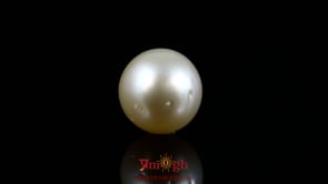 Pearl - 12.75 Carat