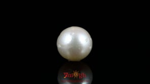 Pearl - 10.1 Carat