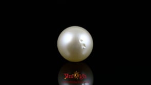Pearl - 11.55 Carat
