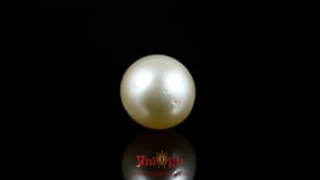 Pearl - 11.3 Carat