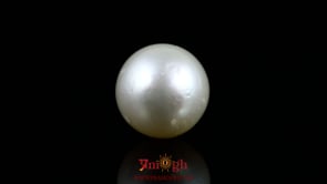 Pearl - 17.3 Carat