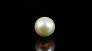 Pearl - 9.05 Carat