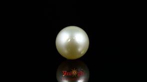 Pearl - 9.25 Carat