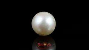 Pearl - 16.15 Carat