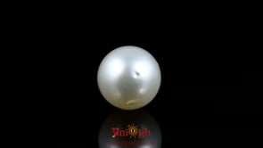 Pearl - 10.85 Carat