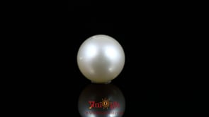 Pearl - 9.9 Carat