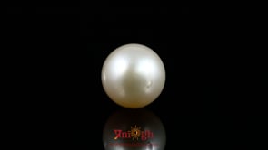 Pearl - 10.85 Carat