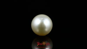 Pearl - 11.05 Carat