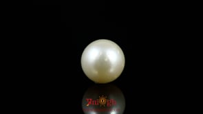 Pearl - 8.1 Carat