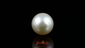 Pearl - 13.55 Carat