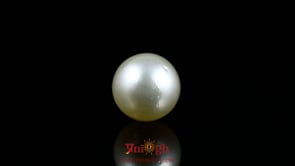 Pearl - 10.3 Carat