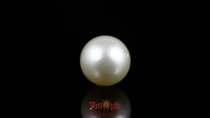 Pearl - 12.05 Carat