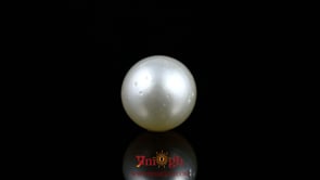 Pearl - 10.7 Carat