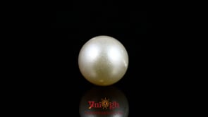 Pearl - 11.1 Carat
