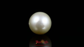 Pearl - 16.65 Carat
